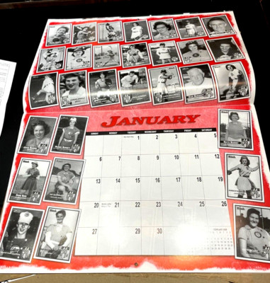 17 x 22 AAGPBL 2008 Commemorative Calendar w/ Fritch Cards LEAGUE OF THEIR OWN