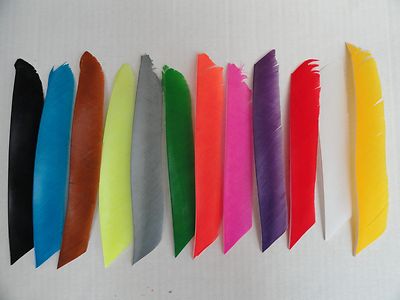 TrueFlight Full Length Feathers - 12 Pack, RW or LW