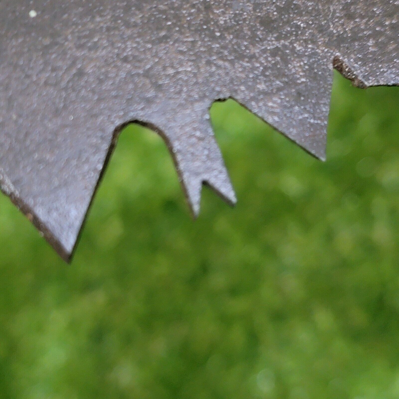 Bild 8 von 24
