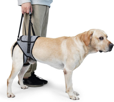 Dog Lift Harness, TORJOY Dog Sling for Small Medium Large Dogs, Dog Support Harn