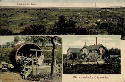 Postcard Göppersdorf Burgstädt in Saxony, view of the pasture,... - 5051600