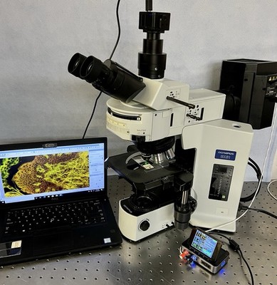 Olympus BX 51 S APO LED Fluorescence Microscope CAM + Guarantee