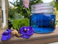 Blue Butterfly Pea Tea Seeds Double Flowered Premium Seed Packet