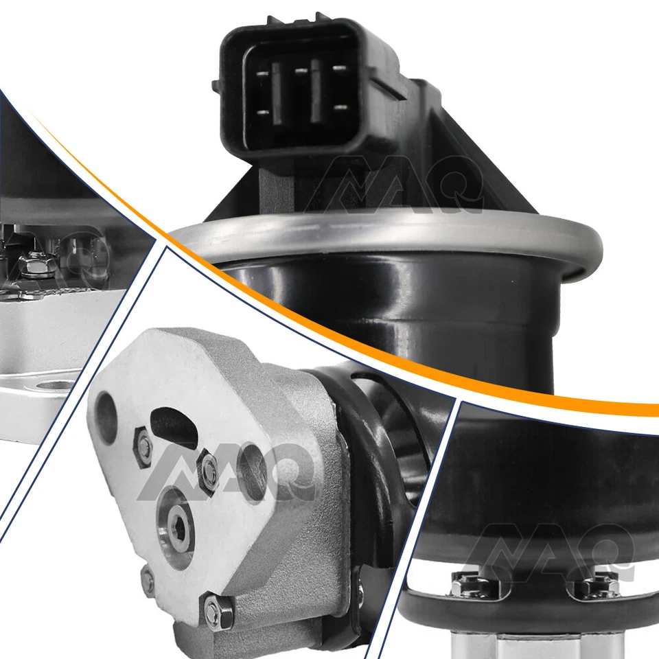 Válvula EGR con junta para Acura 1997-2003 CL 2001-2005 MDX 1999-2006 TL EGV658 Foto 4 de 4