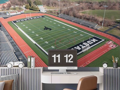 3D Stadium Rugby Field Self-adhesive Removeable Wallpaper Wall Mural