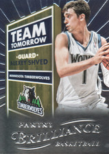2012-13 Panini Brilliance Team Tomorrow #14 Alexey Shved - BSK
