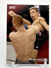 Joseph Benavidez 2015 Knockout Ruby 7/8 UFC- 4416 