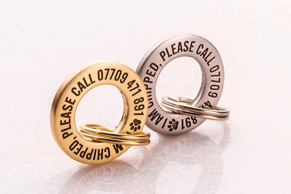 Medaglietta Identificativa per Cani/Animali Domestici in Ottone Massiccio O Acci - Immagine 3 di 4