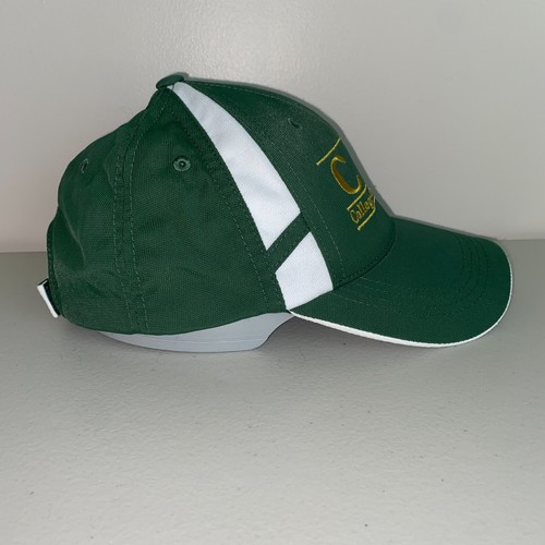 Colorado State University College Of Vet Medicine Adjustable Strapback Hat Cap - Picture 4 of 6