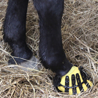 ariat harvester work boot