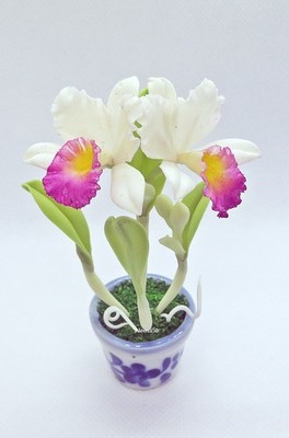 US Stock 4''H Handmade Miniature Air-Dry-Clay Classic Cataleeya Orchid Arranged.