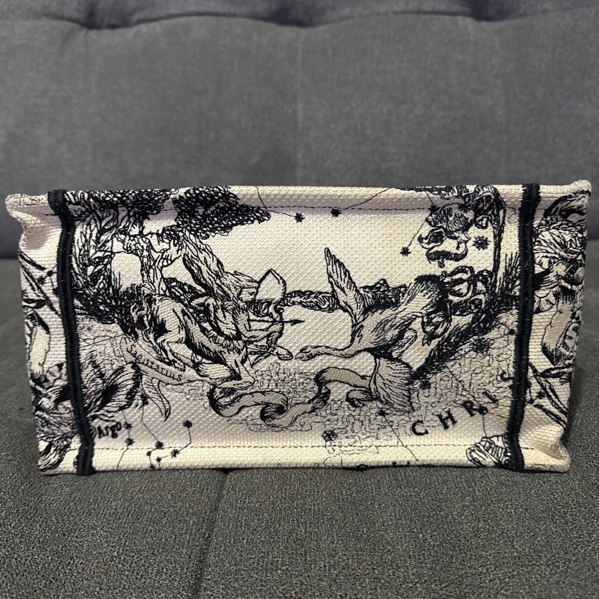 Christian Dior Book Tote Hercules Canvas Small $3500 | eBay