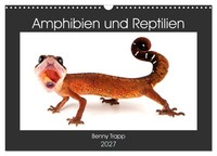 "Calendar 2027 · US Version · Amphibians And Reptiles (Wall Calendar 2027 17\" × 1"