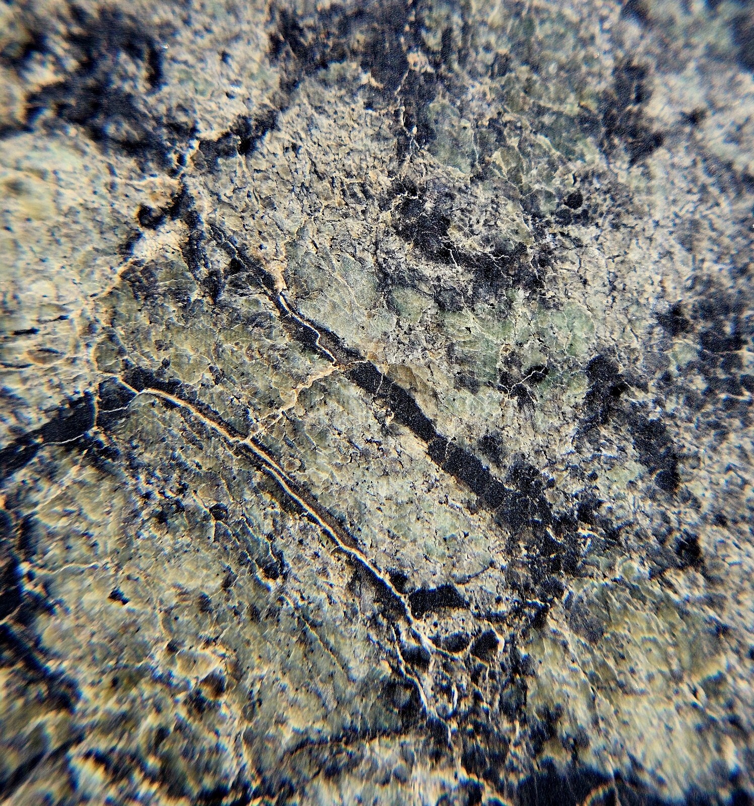 Picture 13 of 18