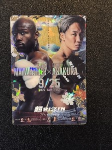 Rizin Poster | eBay