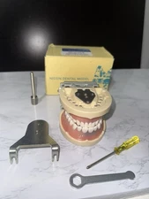 Kilgore Nissin Dental Model Complete Kit – Used