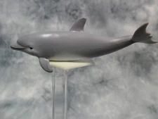 CollectA NIP * Bottlenose Dolphin Calf * #88616 Realistic Model Toy Figurine