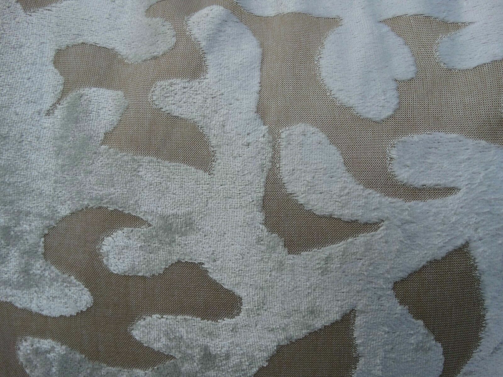 Picture 4 of 5