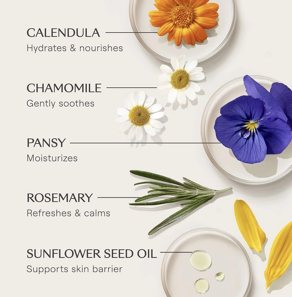 2 lociones corporales nutritivas Weleda Skin Food 6,8 fl oz/200 ml (paquete 2) caducan 10/2026 Foto 4 de 4