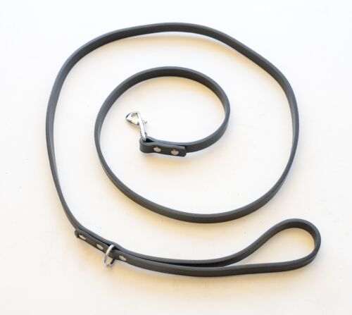 5' Dog Leash (NEW)