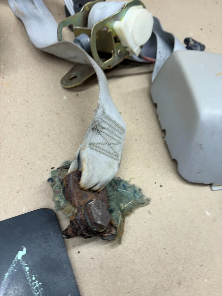 Dodge W150 1981-1993 cabina regular B pilar cinturones de seguridad retráctiles blanco par proyecto Foto 3 de 4