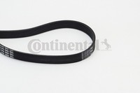 6PK1660 Continental Ctam Keilrippenriemen FüR ,Audi,Bmw,CitroËN,Fiat,Hyundai,Kia