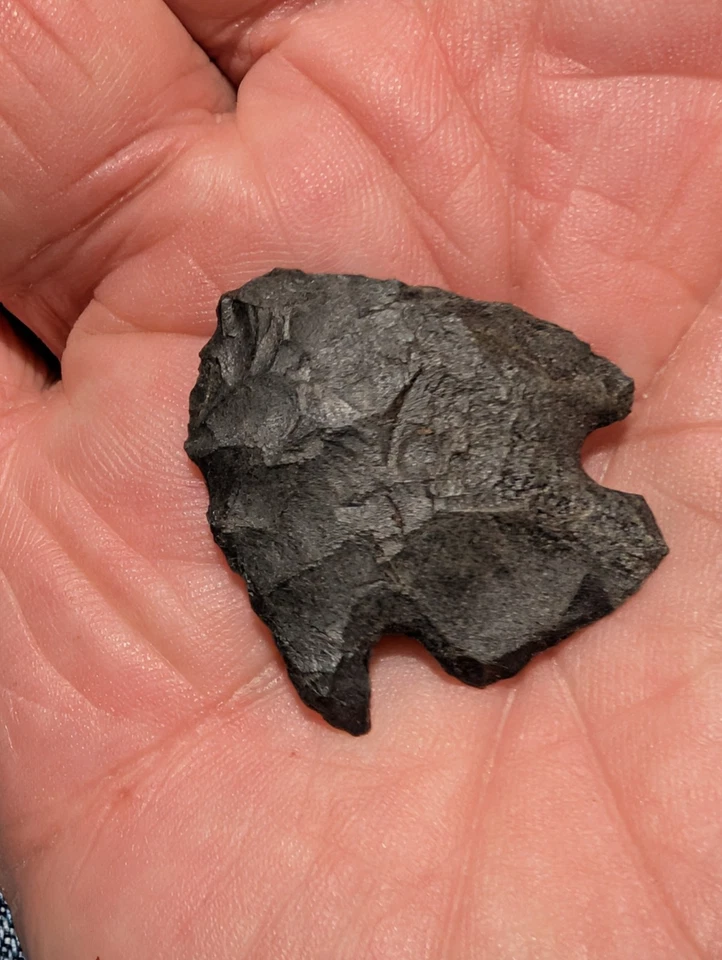 ERB BASAL NOTCH, 1 3/16", PA, SCARCE TYPE, Black Chert, Authentic Arrowhead  - Image 4 of 4