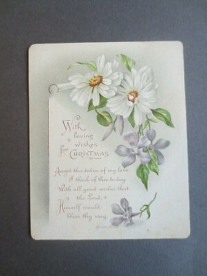 Viktorianische Weihnachtsgrußkarte Gänseblümchen & immergrün Blume Charlotte Murray   