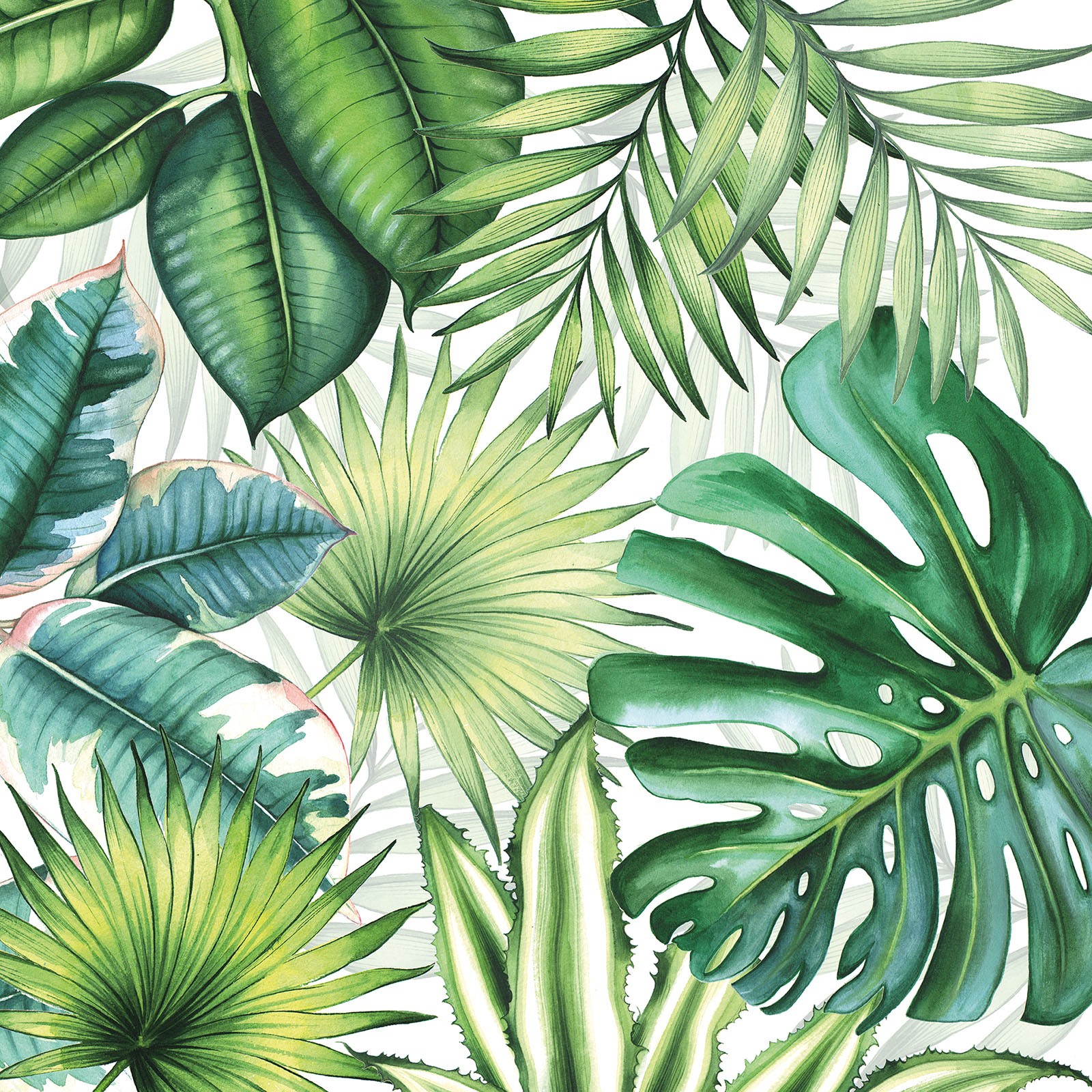 Tropical Leaf Paper Napkins Monstera Palm Botanical Decoupage Serviette 3 Ply 20