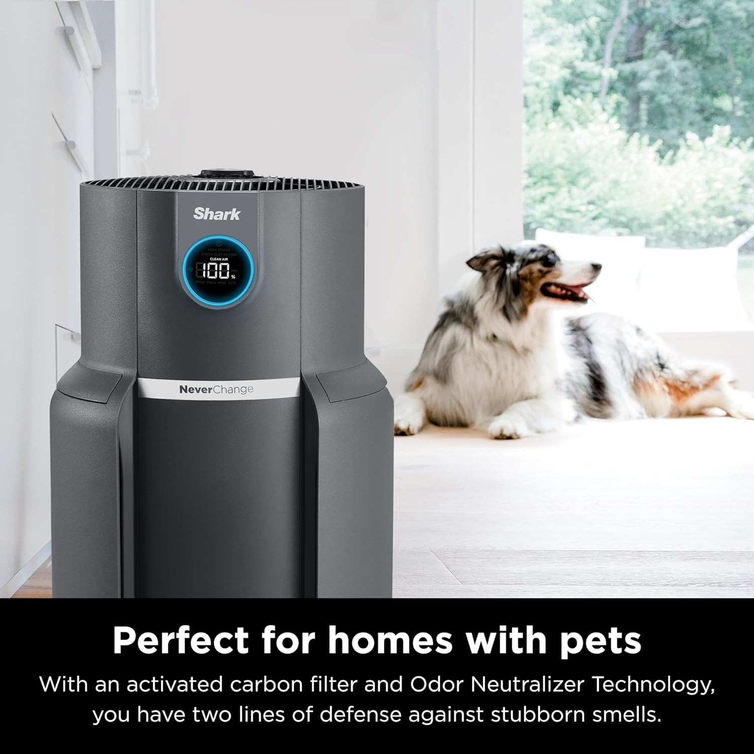 Shark HP305 Never Change Air Purifier Max with Odor Neutralizer Tech, Black