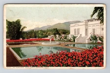Santa Barbara CA-California, Red Flower Gardens, Fountain, Vintage Postcard