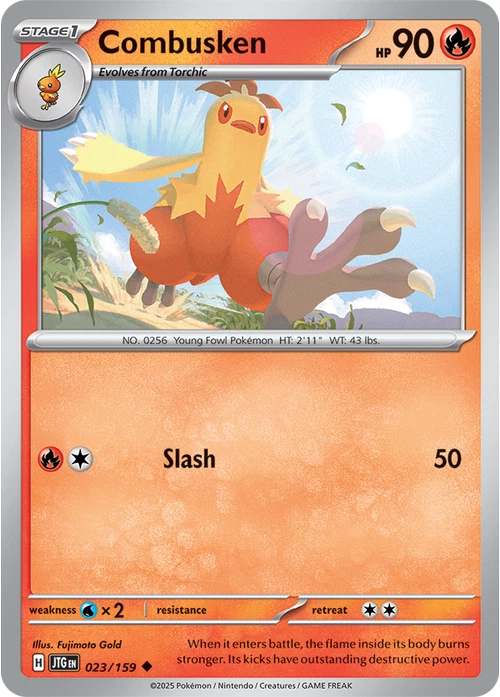Las mejores ofertas en Cartas de JCC Pokémon Combusken | eBay