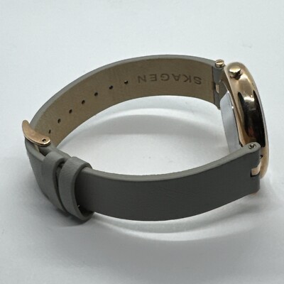 Skagen Signatur SKW2710 Women Grey Leather Analog Dial Quartz Wrist Watch AEA247 Skagen Signatur SKW2710 Women Grey Leather Analog Dial  main image 2