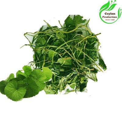 Gotu Kola Centella asiatica whole Leaves Dried Organic  Herbal pennywort