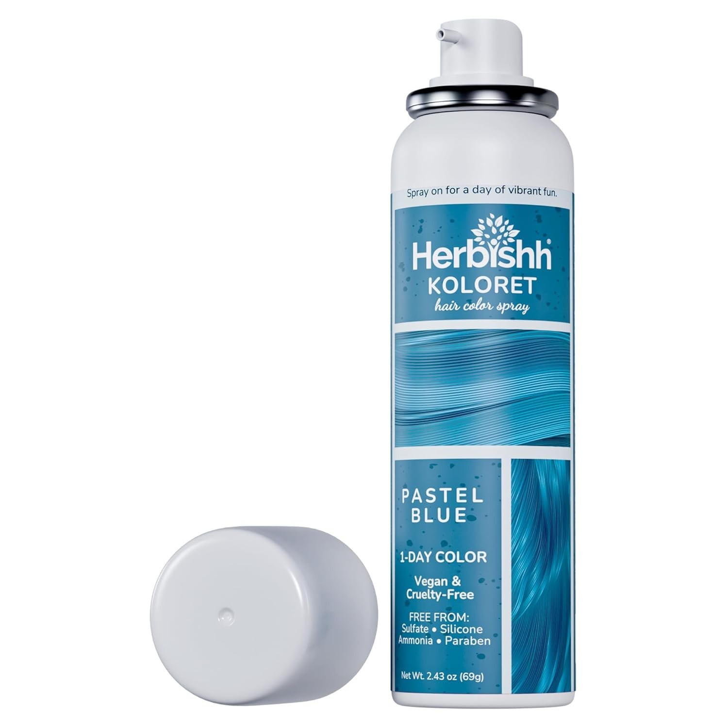 Spray Washable Temporary Dye 69g Quick Dry