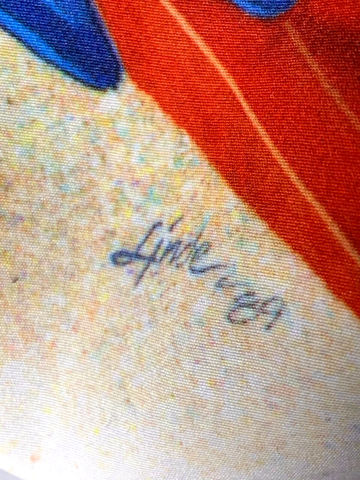 Chaqueta reversible Hot Chillys vintage para hombre firmada loro obra de arte Linde 89 rara Foto 4 de 4