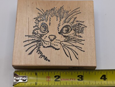 Large Furry Cat Kitten Face 3'' Rubber Stamp NEW (Merry Mary-Annes)