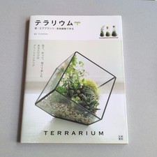 Moss Air Plants Succulents Terrarium with Minor Wear