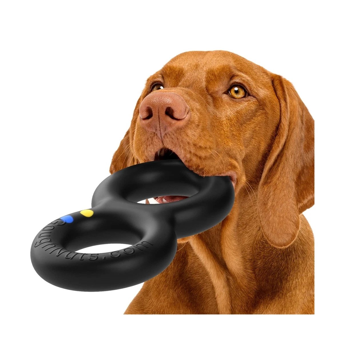 Gonuts clearance dog toy