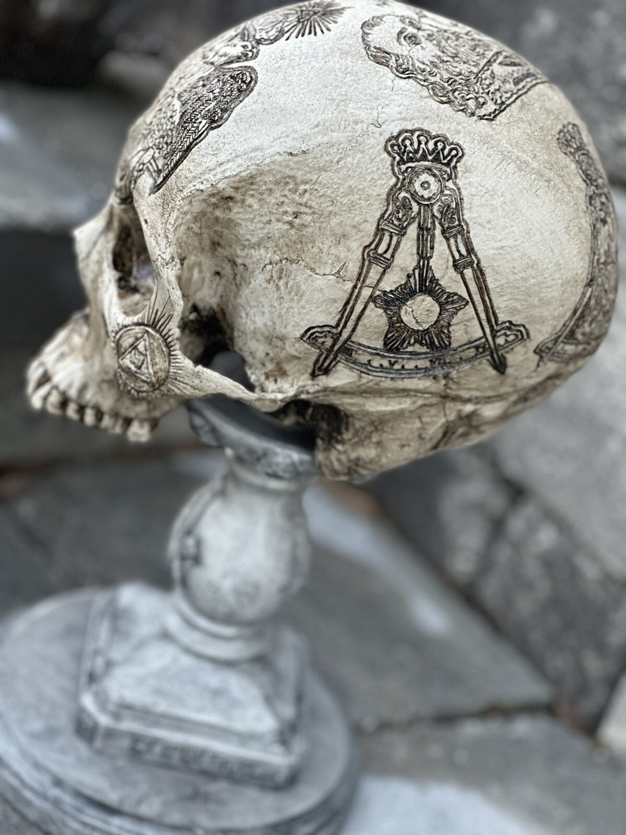 Scottish Rite SJ Carved Skull By Zane Wylie Real Human Skull RESIN