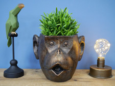 Monkey Head Planter Animal Face Plant Flower Pot Ornament Quirky Decor Indoor