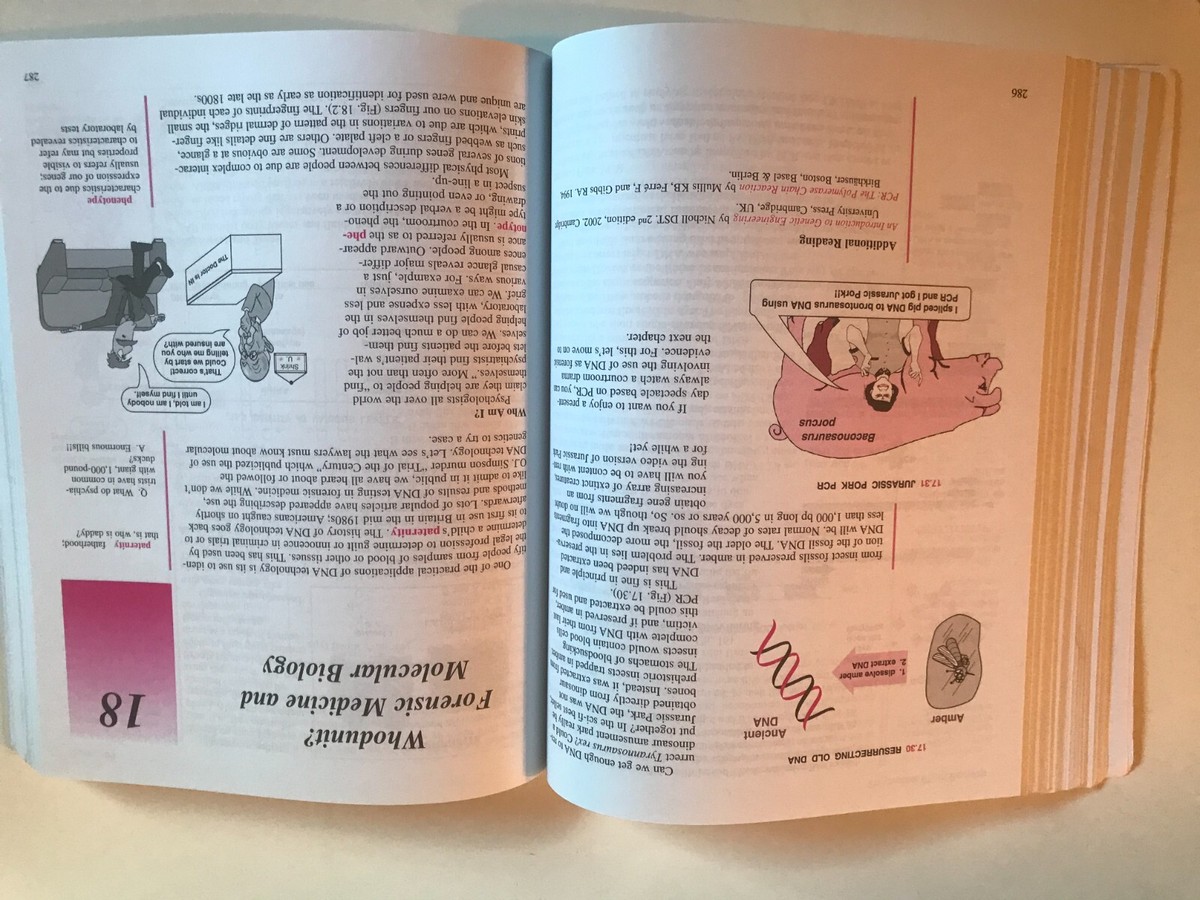 MOLECULAR BIOLOGY Made Simple and Fun ~ 4th Edition ~ David MOLECULAR BIOLOGY Made Simple and Fun ~ 4th Edition ~ David