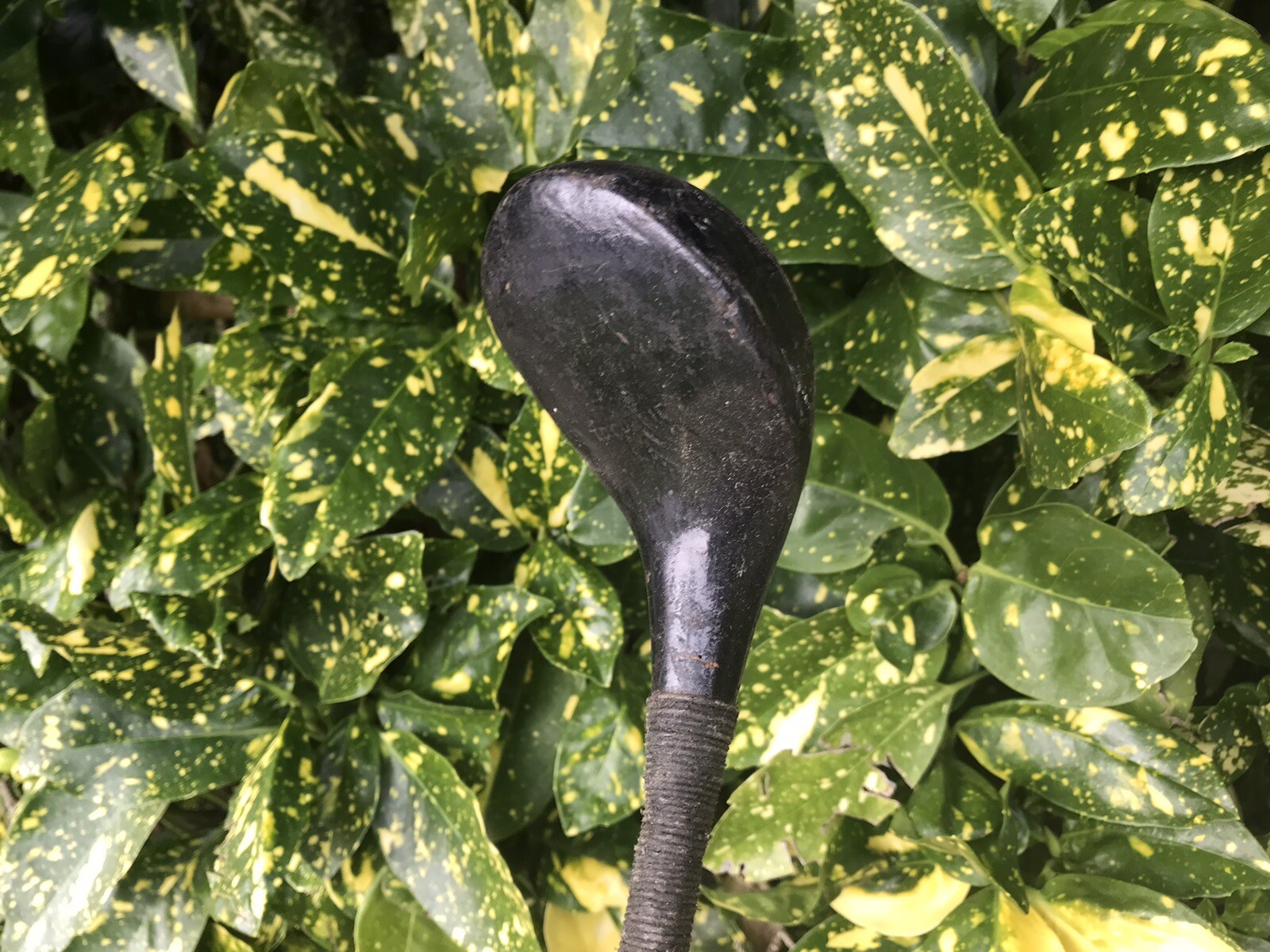 7 Hickory Shafted Golf Clubs (1) eBay