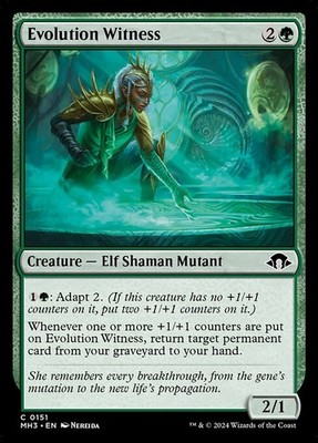 Evolution Witness - Modern Horizons 3 MH3- MTG - LP Magic - 151 C
