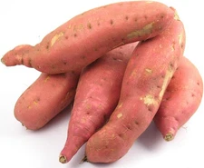 Garnet Sweet Potatoes Tubers Organic For  Planting or Cooking Non GMO
