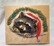 Stampa Rosa Raccoon RUBBER STAMP New - OTHER