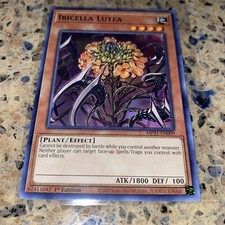 Ibicella Lutea - IGAS-EN027 - Rare - Unlimited Edition TCG CARD