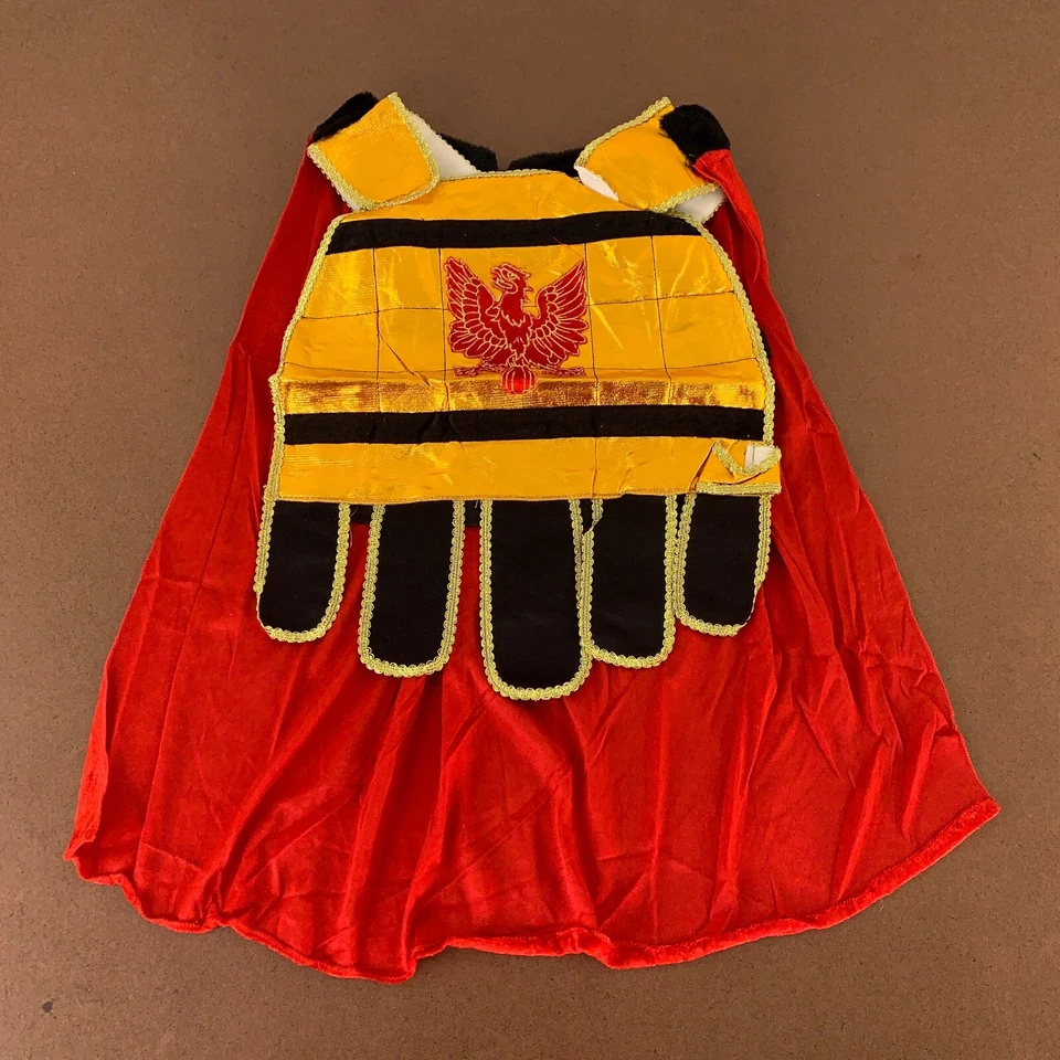 Juego de disfraces de centurión romano de lujo de 4 piezas para niños talla grande (12/14) Rubie's nuevo con etiquetas Foto 4 de 4