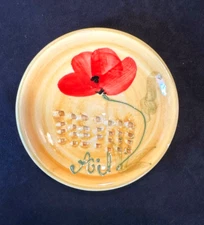 Hand Painted Floral Ceramic Garlic Grater Dish