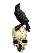 Martha Stewart Raven Skull Figurine Halloween Black NEW 11in Gothic Resin Decor
